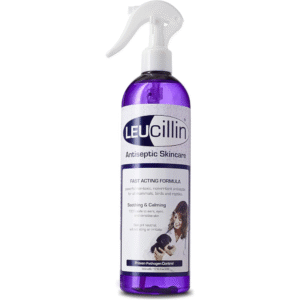 500ml Leucillin Antiseptic Spray
