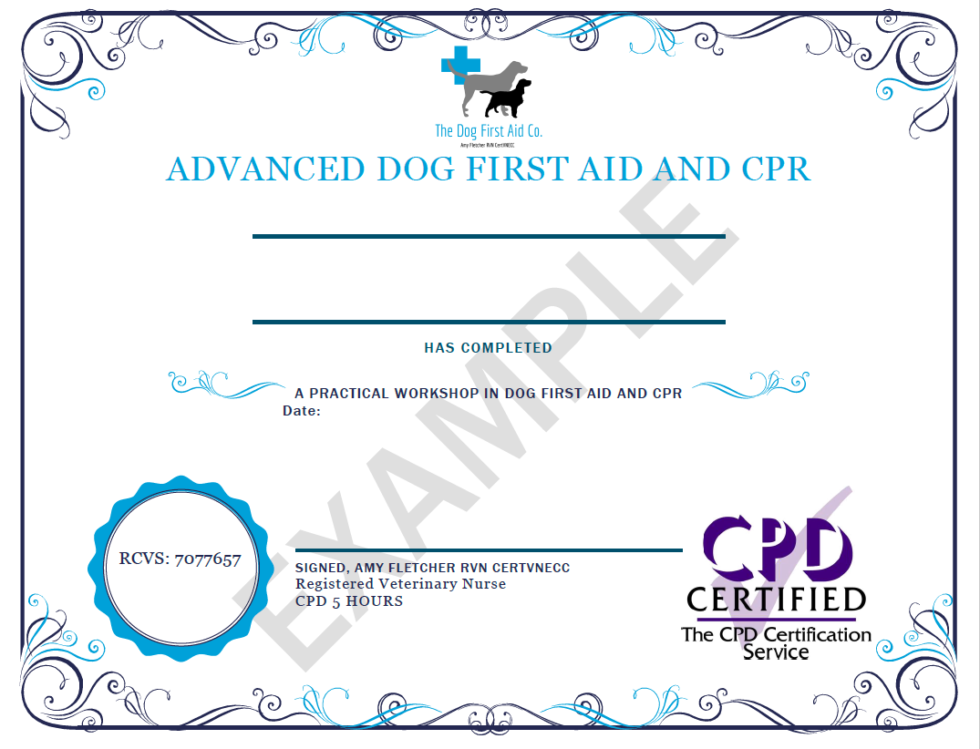 Dog First Aid Course The Dog First Aid Co.