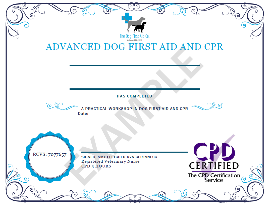 Dog First Aid Course The Dog First Aid Co.