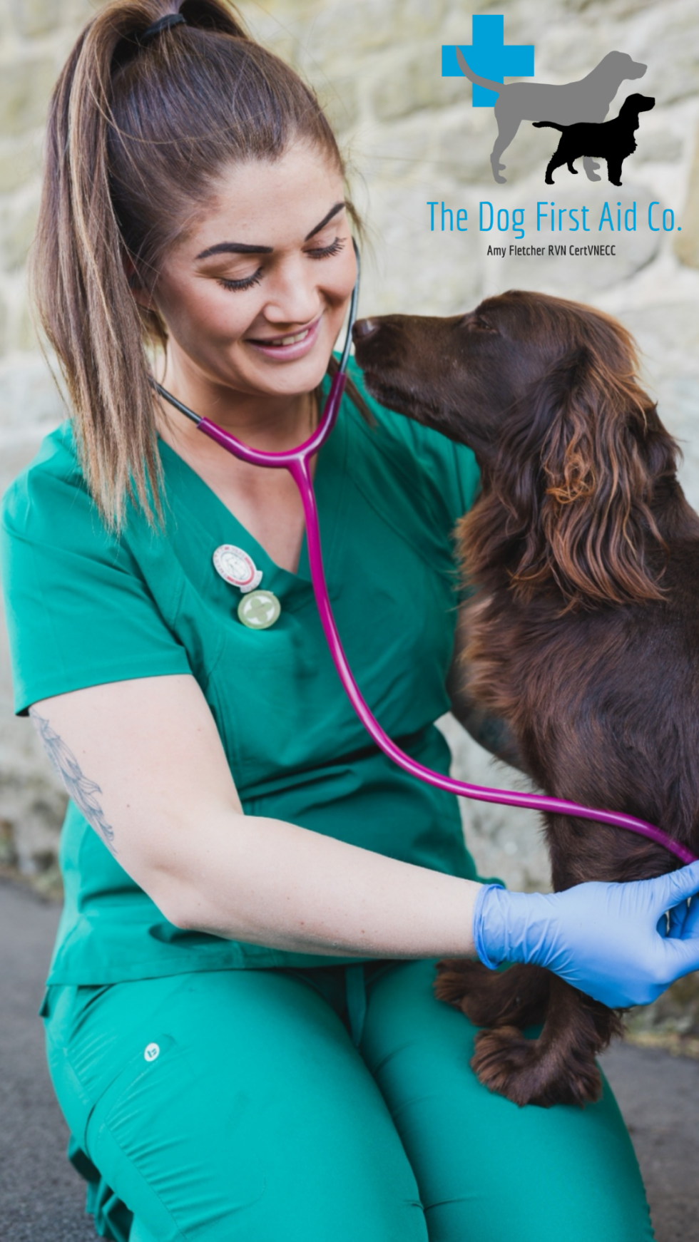 About Us | The Dog First Aid Co.