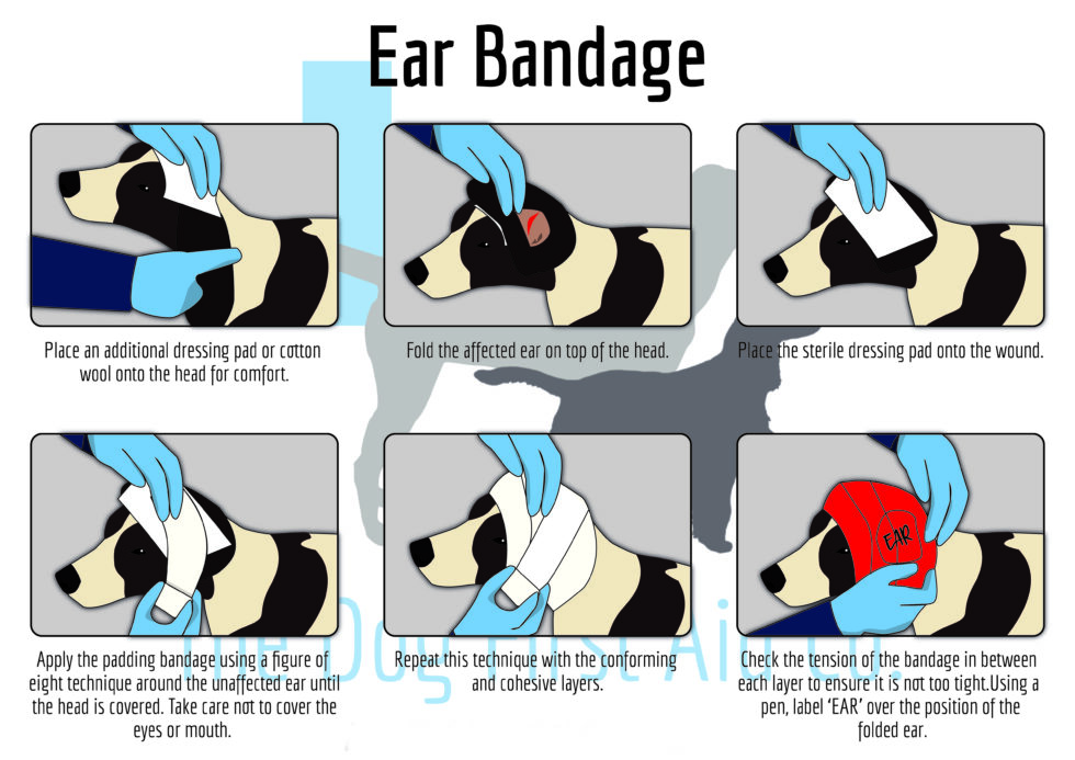 Ear Bandage The Dog First Aid Co.