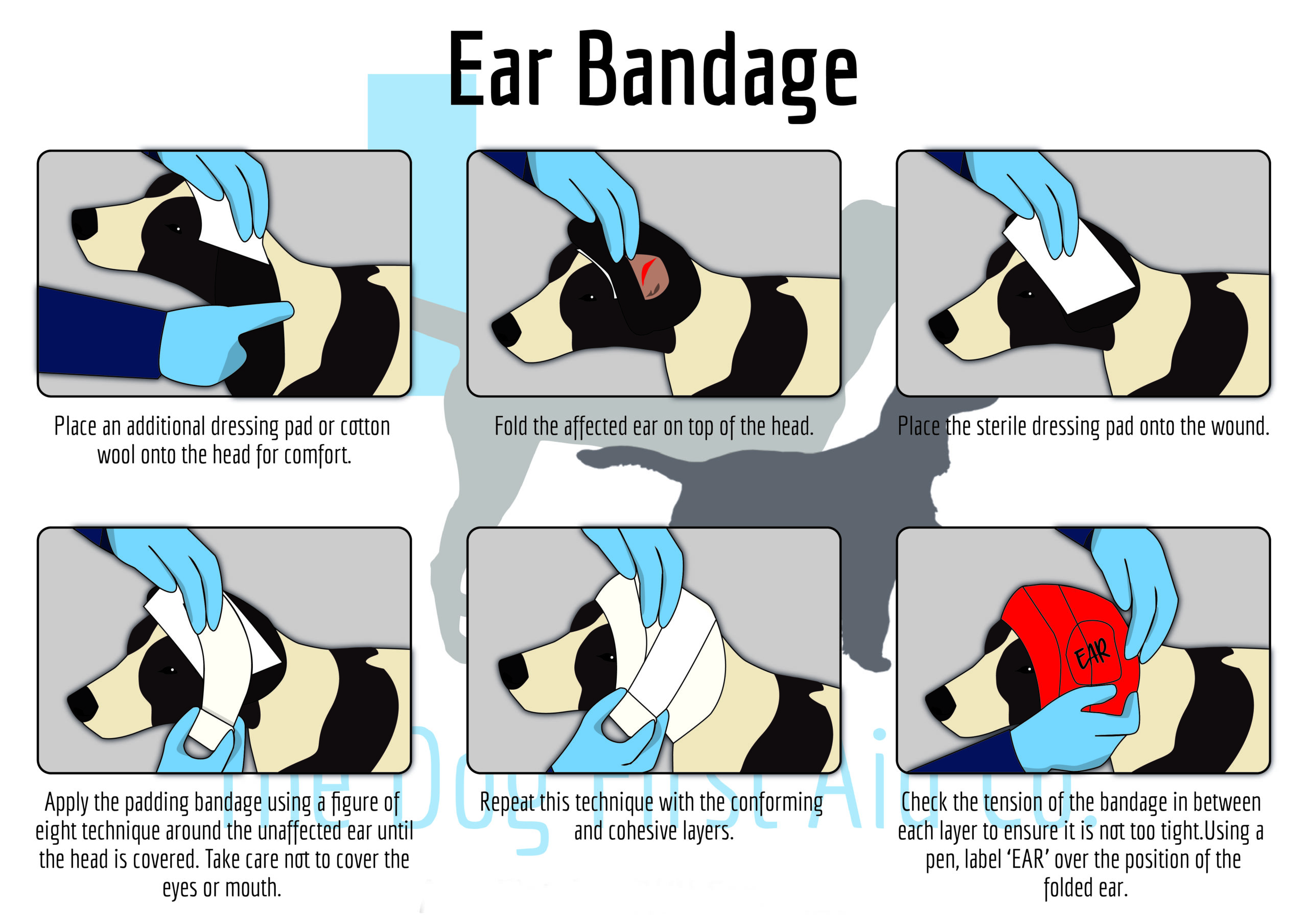 Ear Bandage The Dog First Aid Co 
