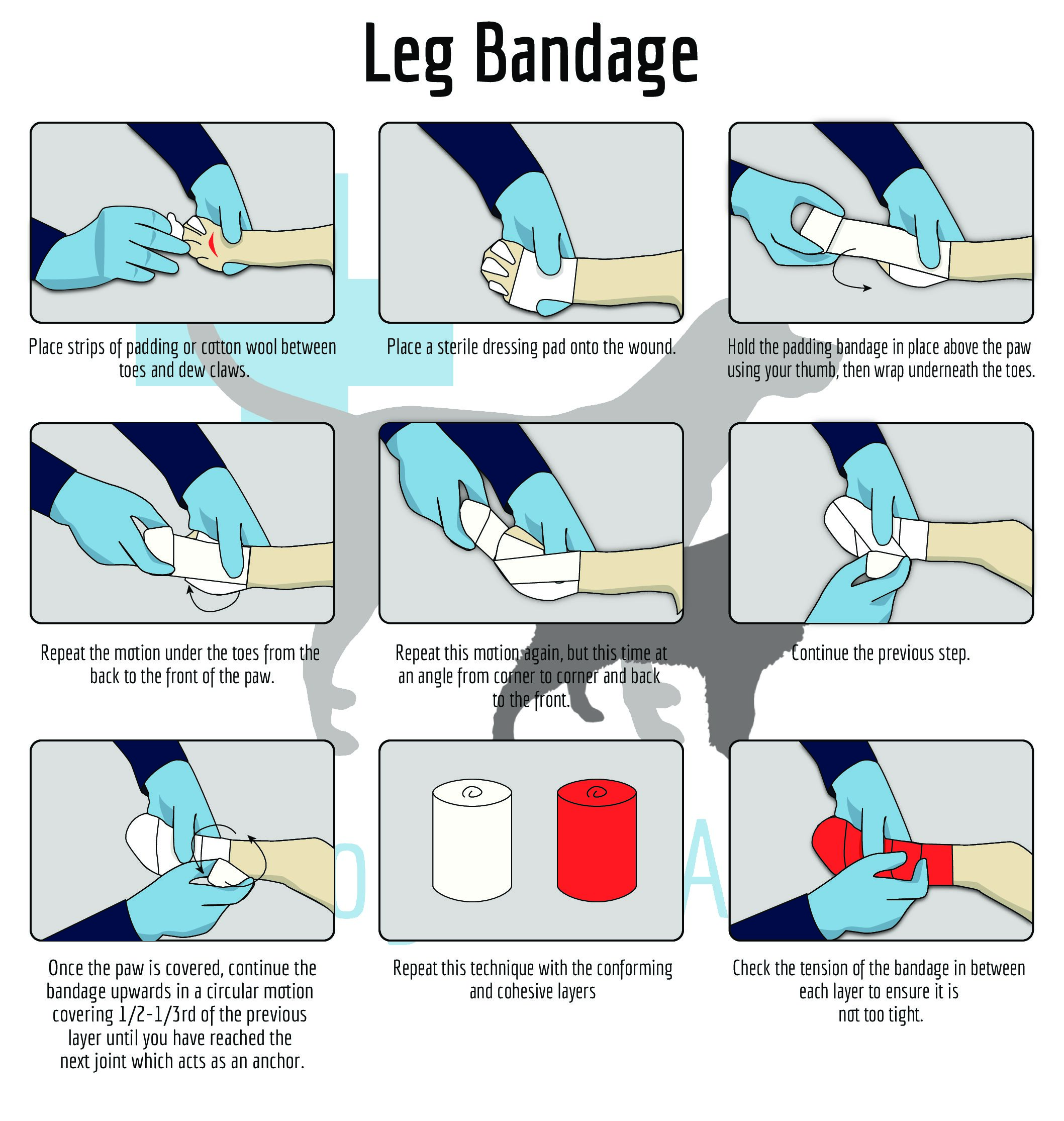 Leg Bandage The Dog First Aid Co 