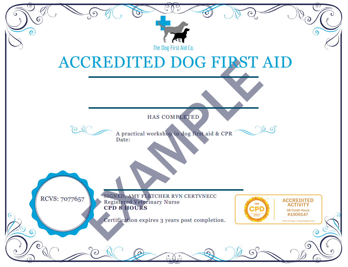 Working Dog First Aid Course The Dog First Aid Co.