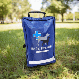 Our Premium Dog First Aid Kit, on grass, in a park