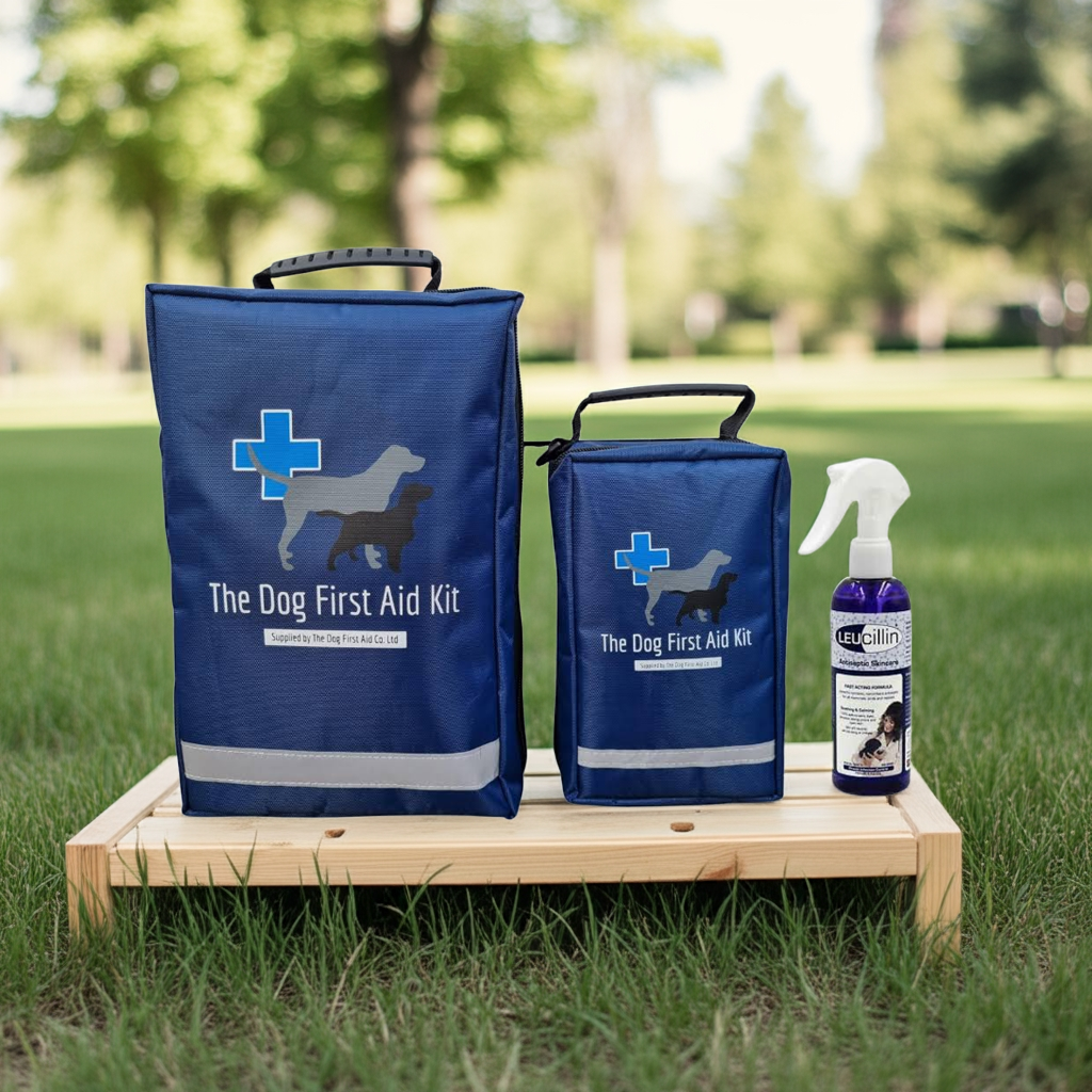 Our Dog First Aid Mega Bundle, laid out on wood, in a dog park