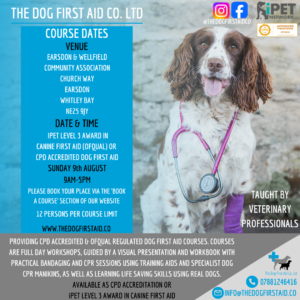 dog first aid course